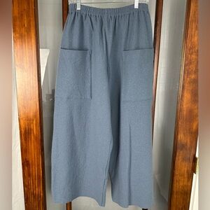 Elemente Clemente Wide Leg Trousers Boiled Wool Pants Size 2 Med/Lg *flaw